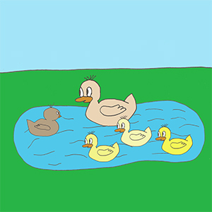 Ugly Duckling
