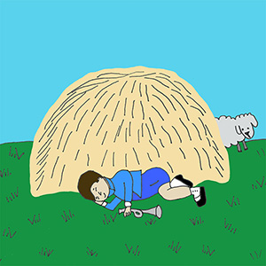 Little Boy Blue